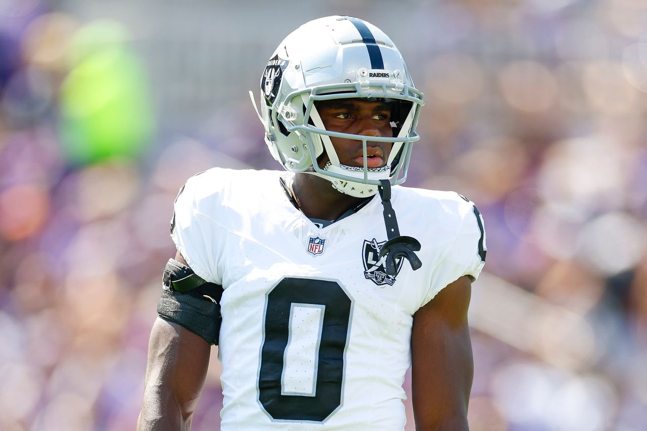 Las Vegas Raiders v Baltimore Ravens